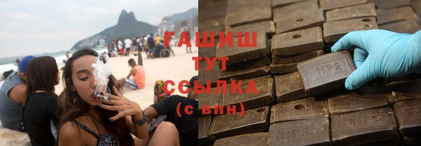 стаф Новозыбков