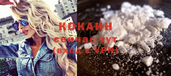 стаф Новозыбков