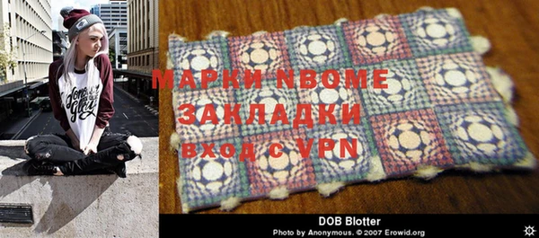 стаф Новозыбков