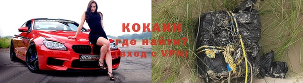 стаф Новозыбков