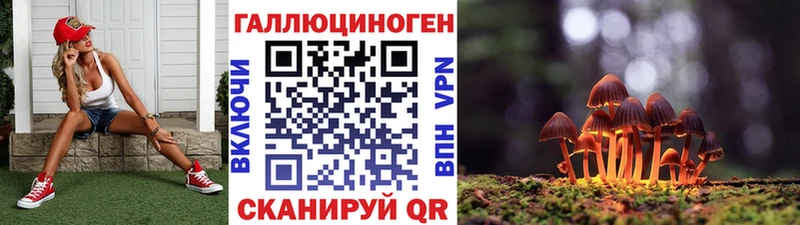 Псилоцибиновые грибы прущие грибы  Купить  Прокопьевск 